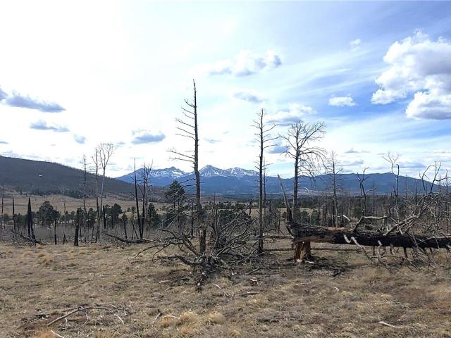 Land for sale in Fort Garland, Colorado