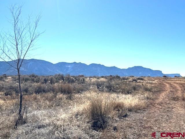 Land for sale in Montezuma, Colorado