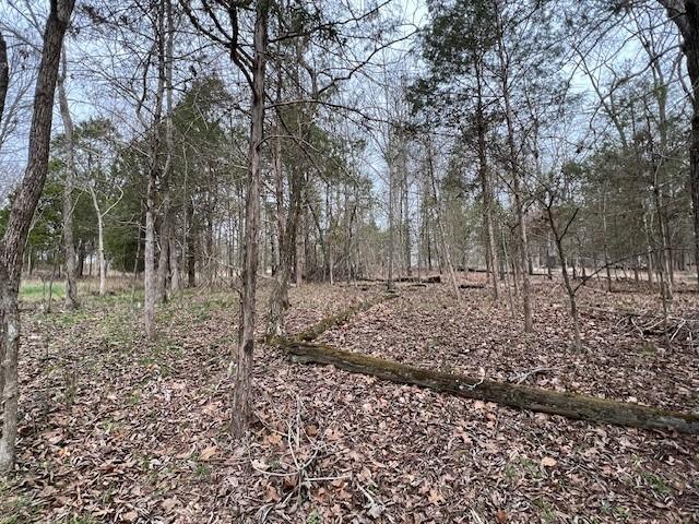Land for sale in Goreville, Illinois