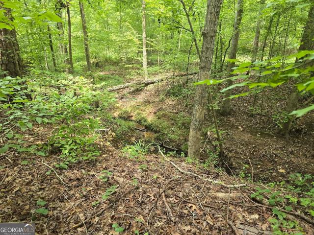 Land for sale in Sparta, Hancock County
