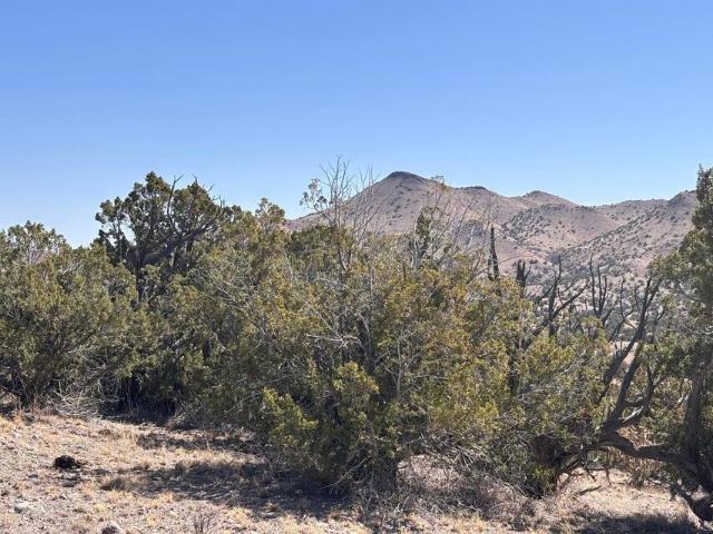 Land for sale in Magdalena, New Mexico