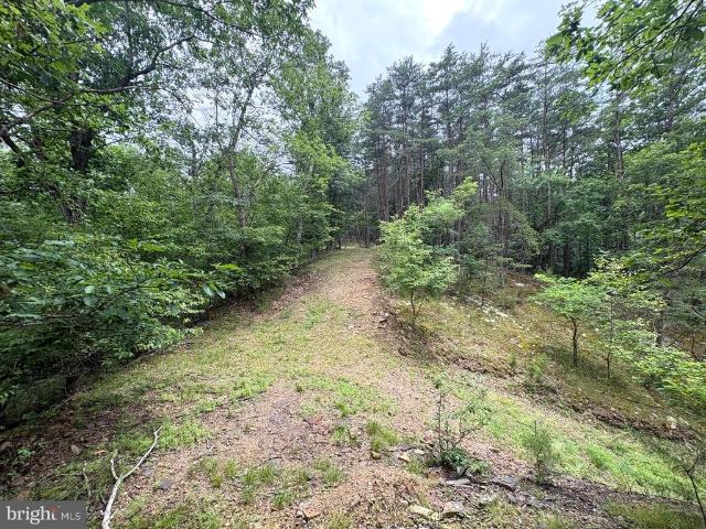 Land for sale in West Virginia