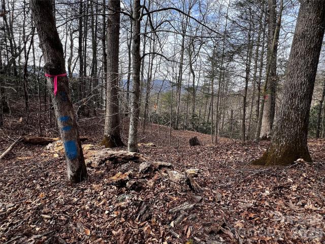 Land for sale in Marshall, North Carolina
