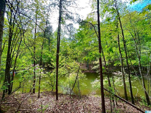 Land for sale in Wedowee, Alabama