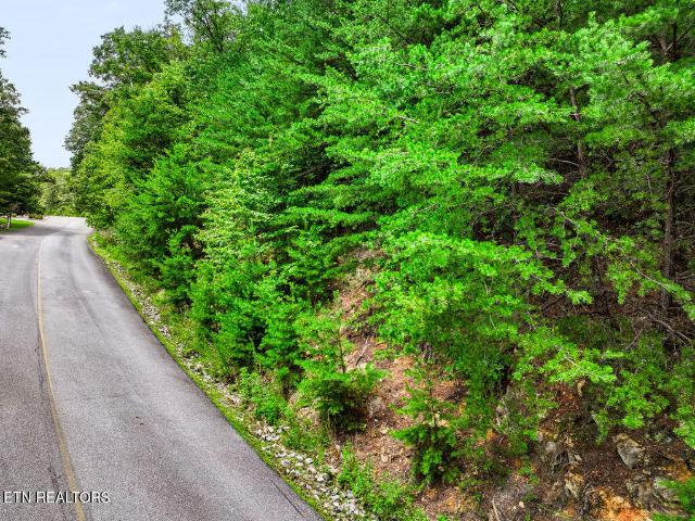 Land for sale in Tennessee