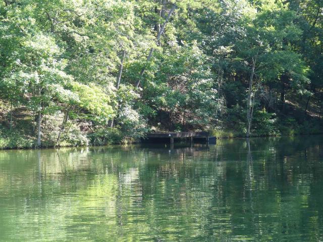 Land for sale in Wedowee, Alabama