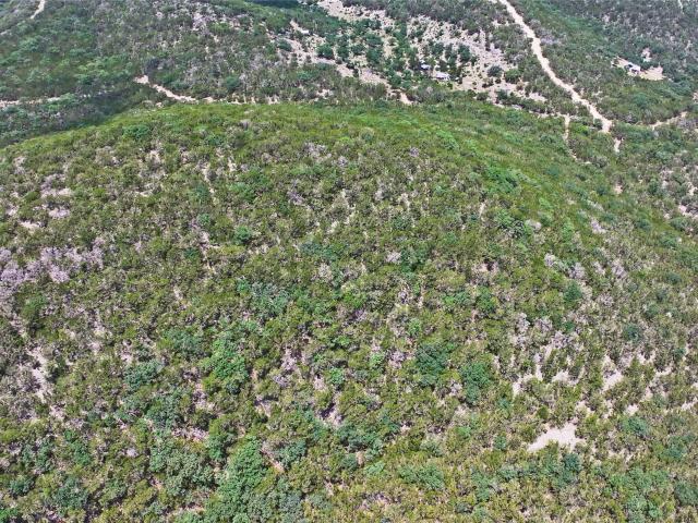 Land for sale in Leakey, Texas