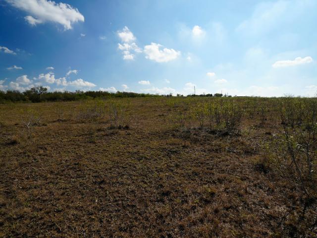 Land for sale in Waelder, Texas