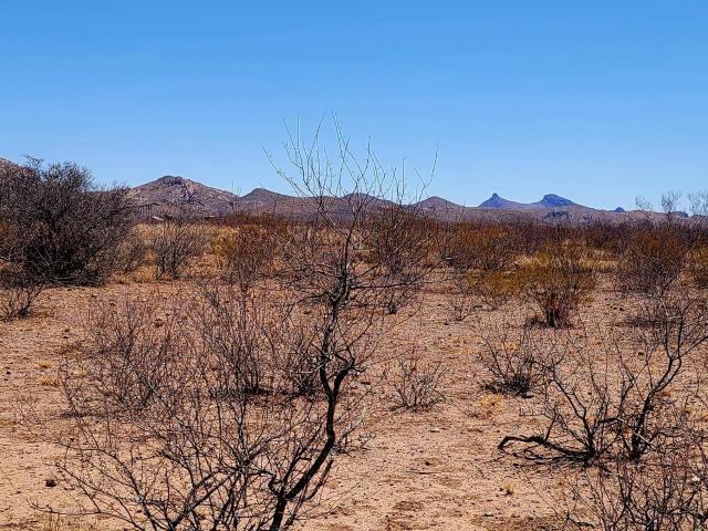 Property for sale in Cochise, Arizona