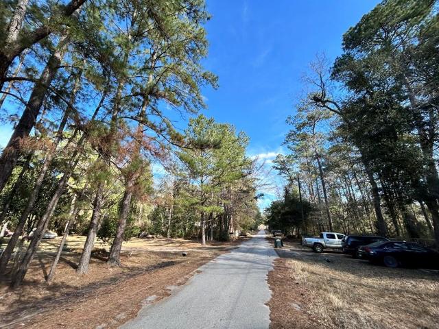 Land for sale in Ivanhoe, Texas
