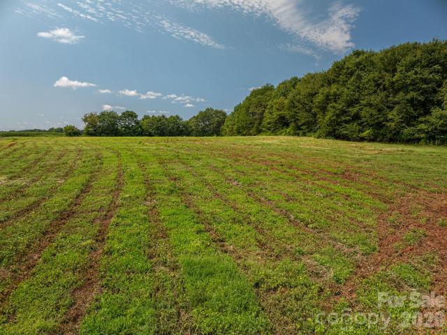Land for sale in Lawndale, North Carolina