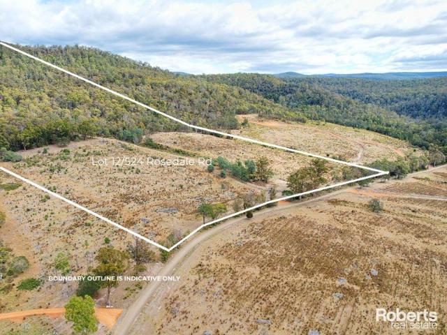Land for sale in Bicheno, Tasmania
