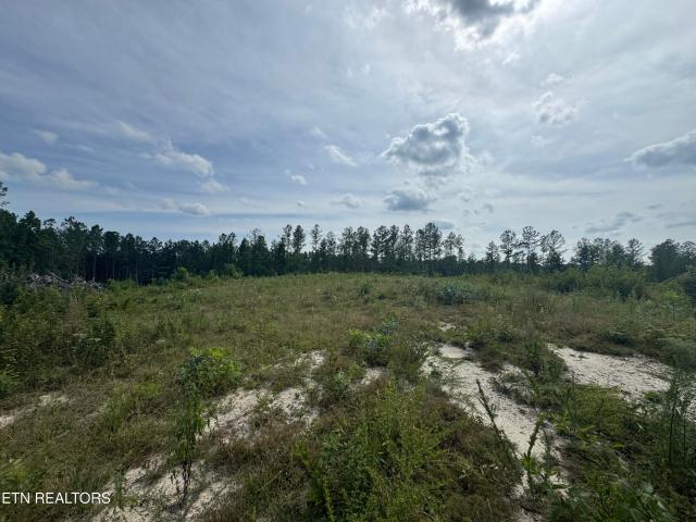 Land for sale in Tennessee