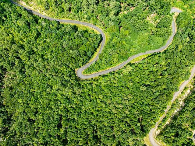 Land for sale in Tennessee