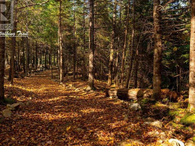 Land for sale in Chester Basin, Nova Scotia
