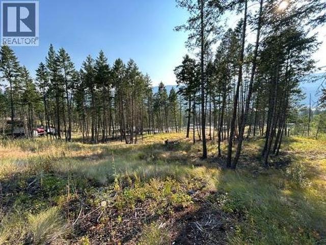 Land for sale in Brisco, British Columbia