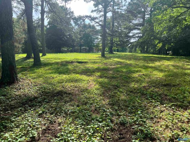 Land for sale in Harvest Land for sale in Harvest