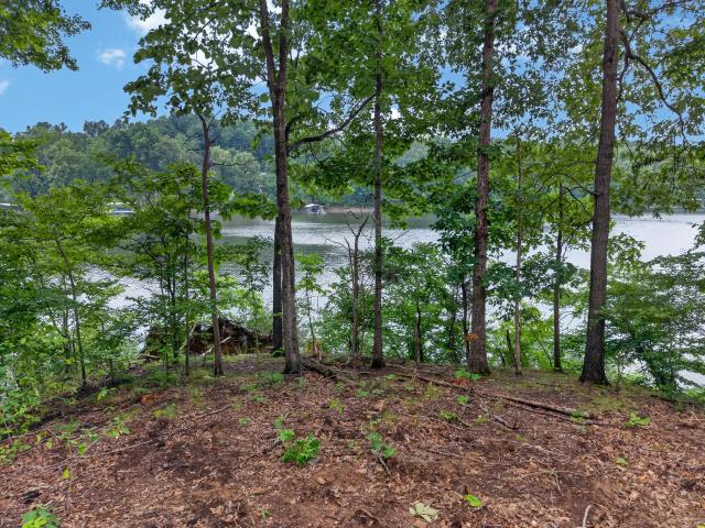 Land for sale in Eddyville, Kentucky