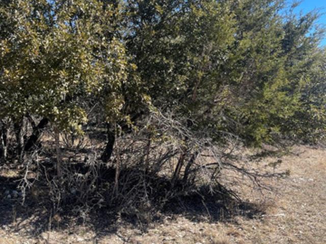 Land for sale in Bandera