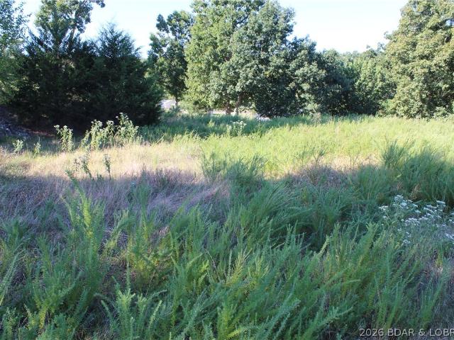 Land for sale in Gravois Mills, Missouri