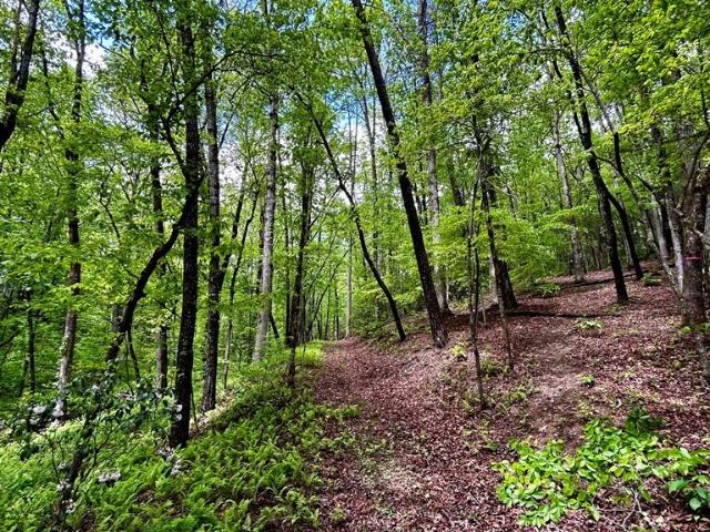 Land for sale in Gilmer, Georgia