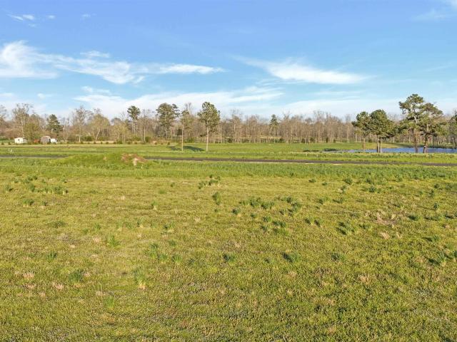Land for sale in Rainsville, Alabama