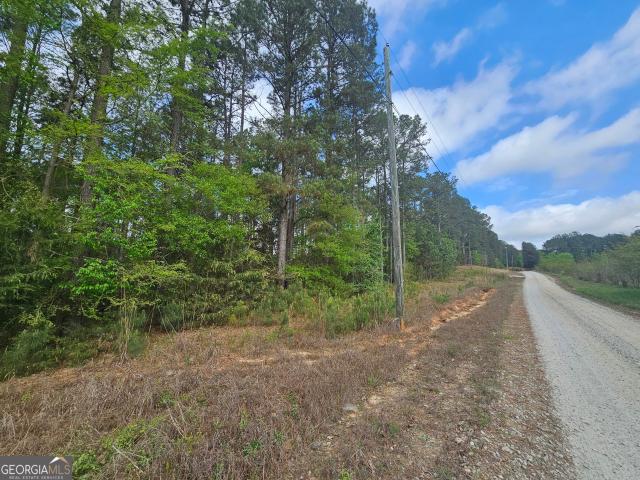 Land for sale in Elbert, Georgia