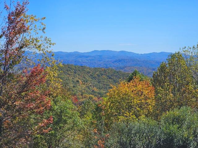 Land for sale in Virginia