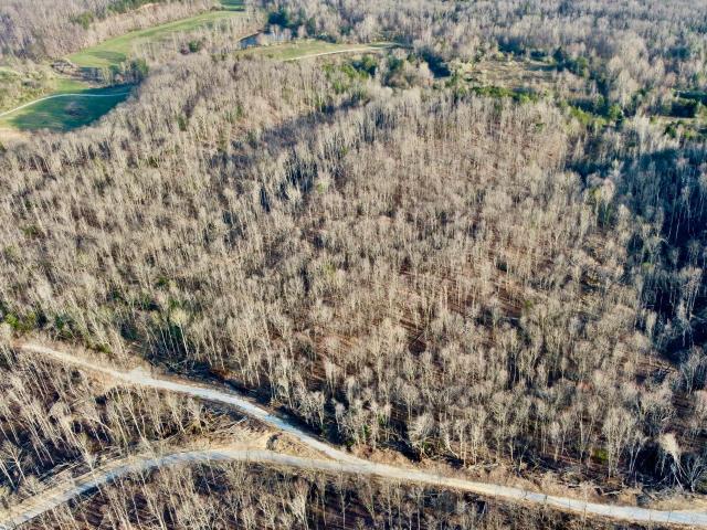 Land for sale in Sunbright, East Tennessee