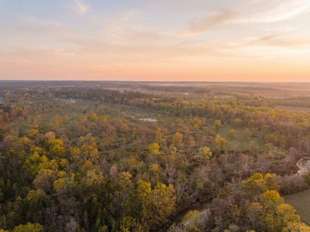 Land for sale in Polk, Texas