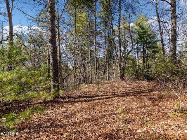 Land for sale in Tennessee