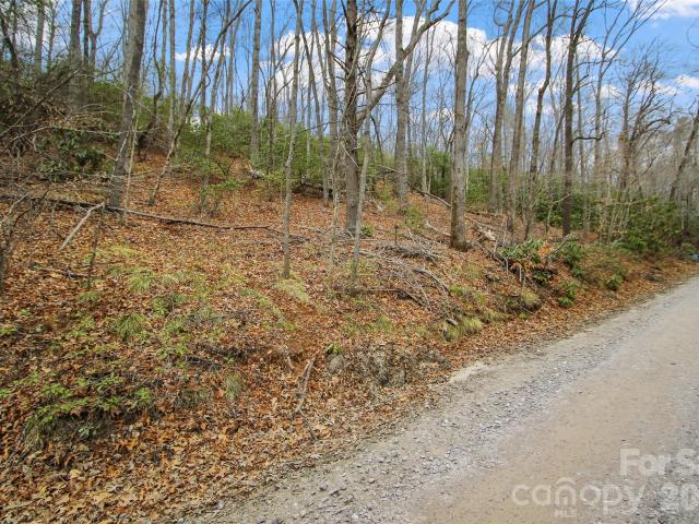 Land for sale in Yancey, North Carolina