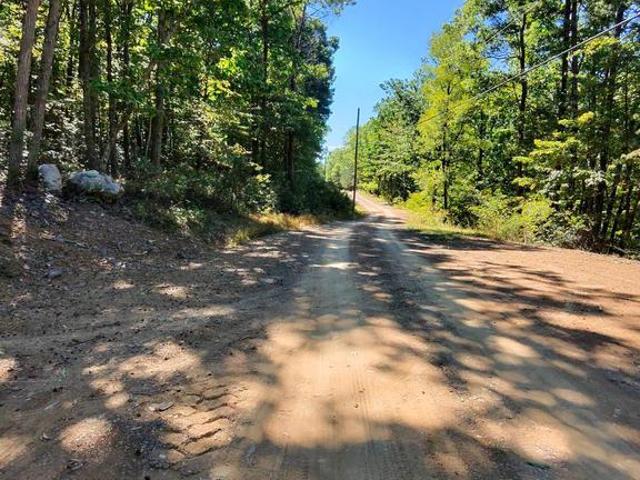 Land for sale in Wardensville, Hardy County