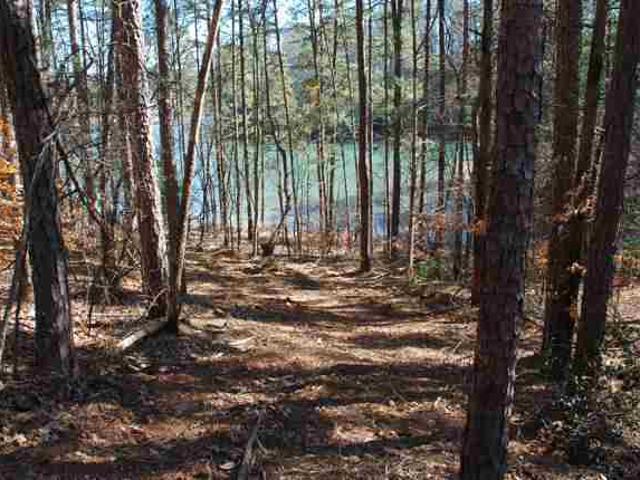 Land for sale in Salem, South Carolina