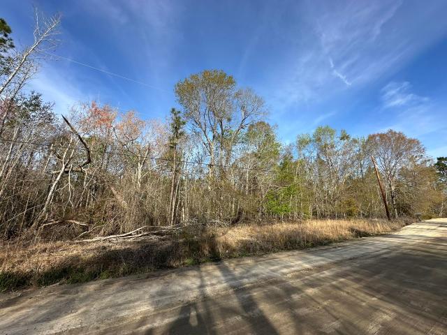 Land for sale in Swainsboro, Georgia