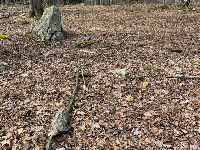 Land for sale in Greene Township, Pike County