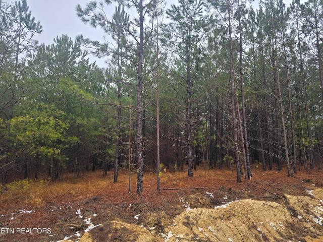 Land for sale in Tennessee