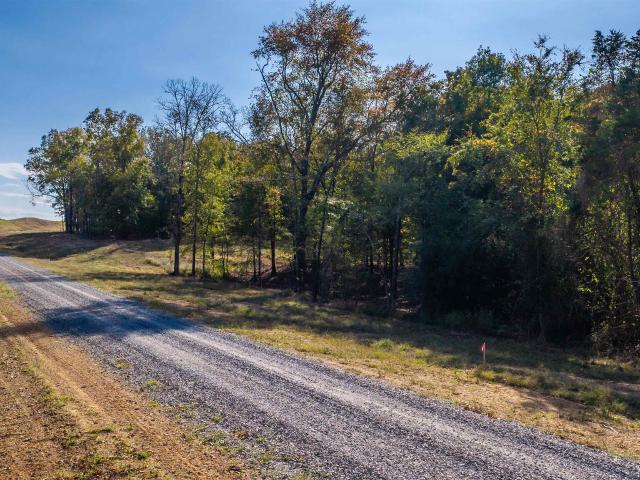 Land for sale in Quitman, Cleburne County