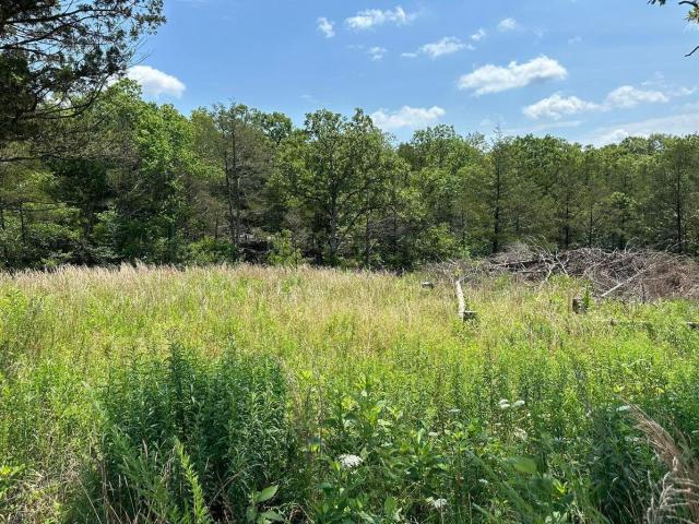Land for sale in Barry, Missouri