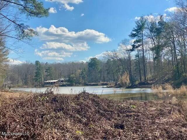 Land for sale in Natchez, Adams County