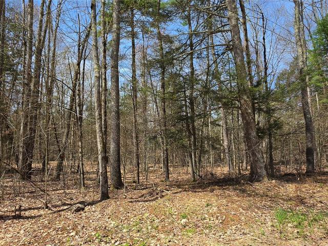 Land for sale in Callicoon, New York