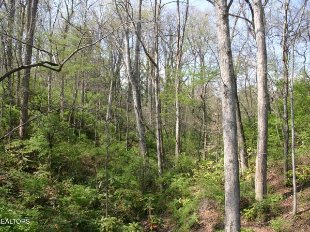 Land for sale in Ghiradelli, Knoxville
