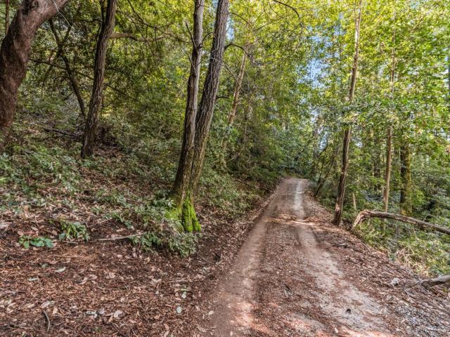 Land for sale in Felton
