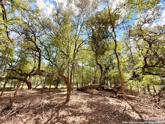 Land for sale in Bandera, Texas