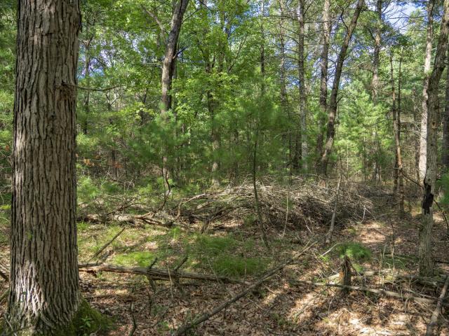 Land for sale in Wisconsin