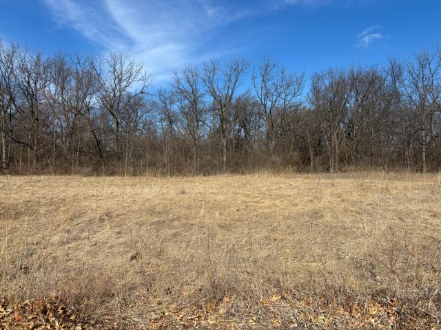 Land for sale in Whiteside, Illinois