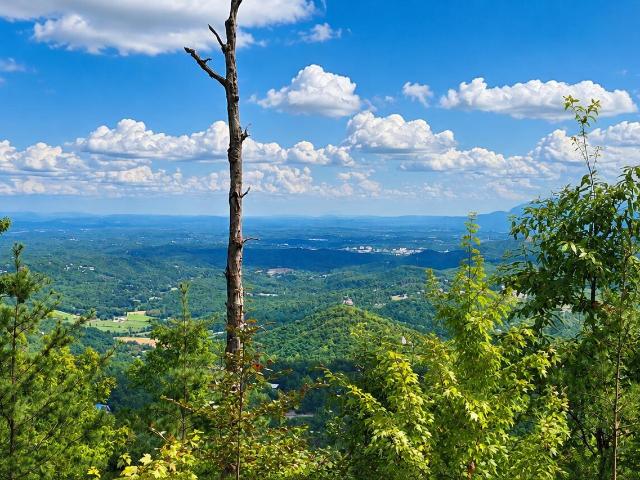 Land for sale in Tennessee
