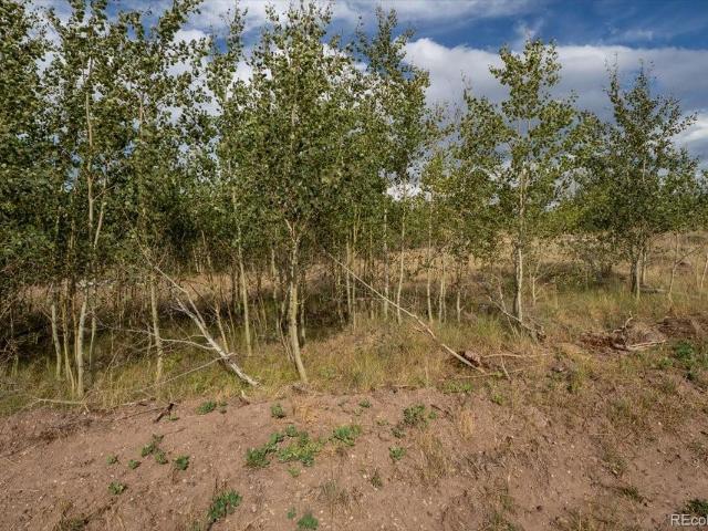 Land for sale in Fort Garland, Colorado