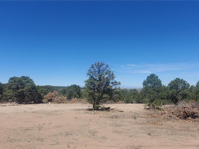 Land for sale in Colorado