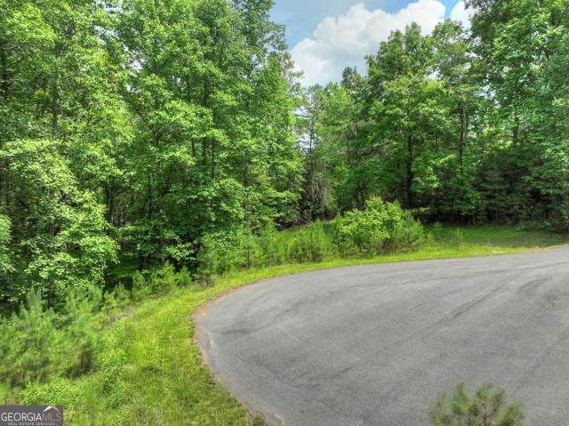 Land for sale in Blairsville, Georgia